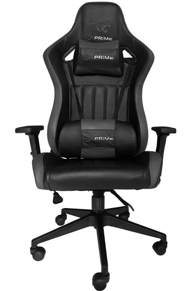 XPrime Bio Gaming Chair Gray